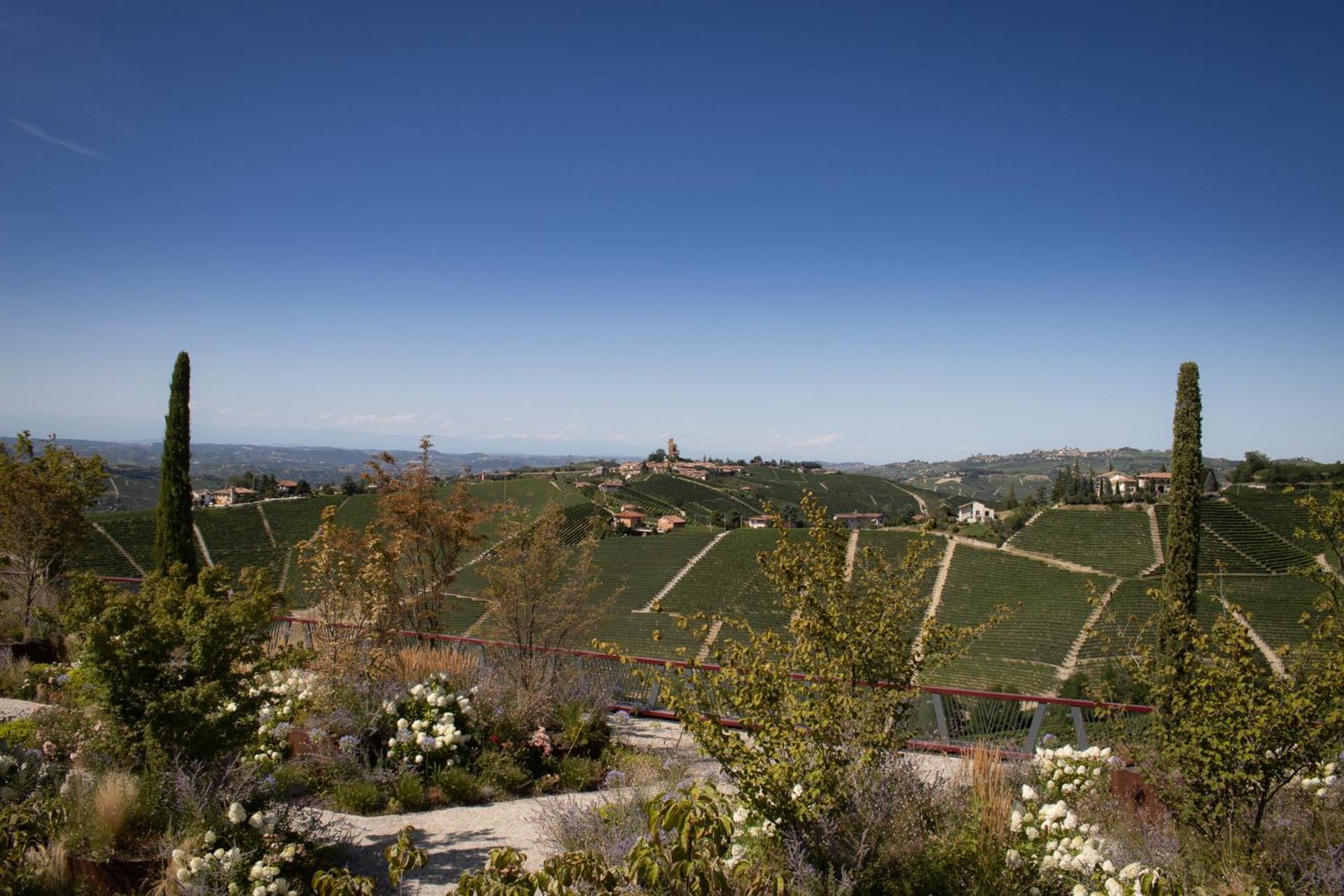 Il Boscareto Resort&Spa Serralunga d'Alba Esterno foto